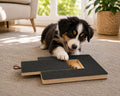 Scratchwell™ — The Treat-Powered Dog Nail Board